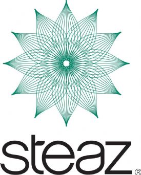 Steaz Organic Iced Teaz